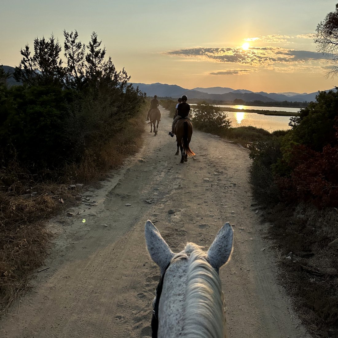 Escursione a cavallo al tramonto nella laguna fra Feraxi e Colostrai, vicino a San Vito